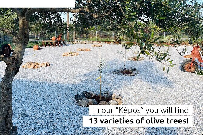 Pallada Semi-Private Olive Oil Tours in Sternes, Chania - Key Points