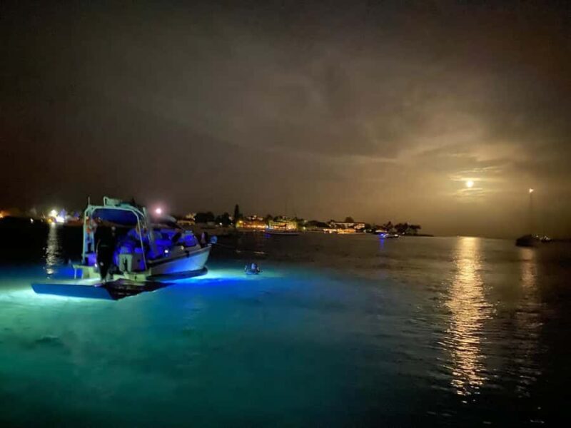 Palm Beach Luxury Day Boat Cruises - Palm Beach Luxury Day Boat Cruises: A Gentle Exploration of Coastal Elegance