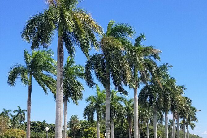 Palm Beach Tour from Miami - Flagler's Museum + Hotel Breakers - A Deep Dive into the Palm Beach Tour from Miami
