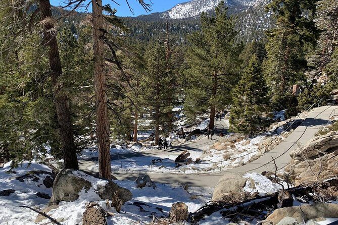 Palm Springs Aerial Tramway Admission Ticket - Discover the Palm Springs Aerial Tramway: Elevate Your Desert Visit