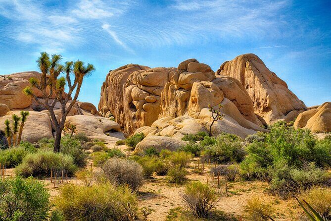 Palm Springs and Joshua Tree Self-Guided Driving Audio Tours - A Deep Dive into the Journey: What to Expect from Palm Springs and Joshua Tree Self-Guided Tours