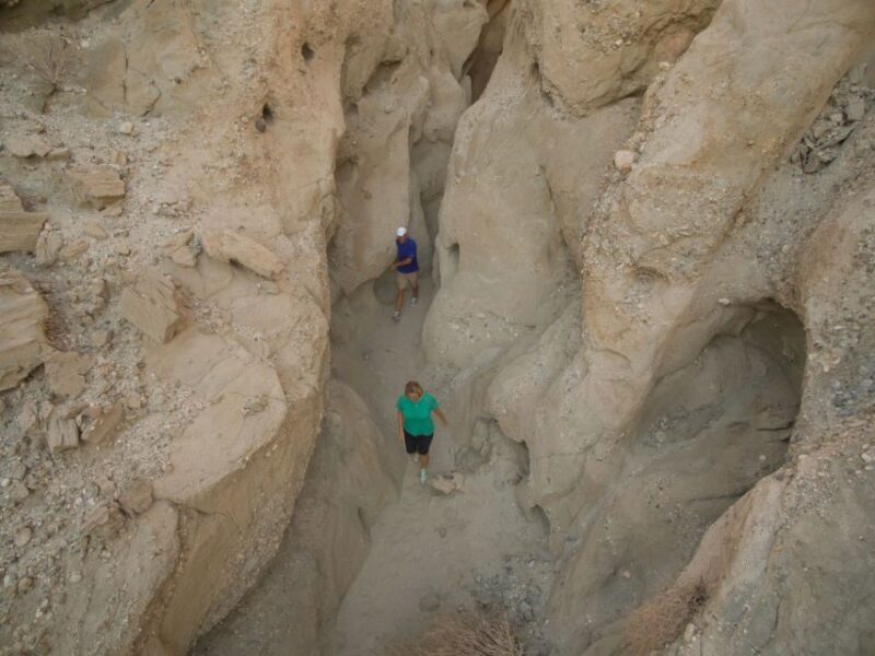 Palm Springs: San Andreas Fault Open-Air Jeep Tour - Who Will Love This Tour?