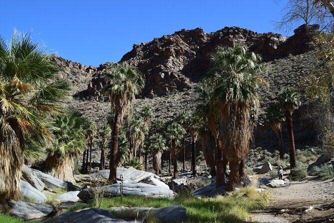 Palm Springs Self-Guided Driving Audio Tour - The Sum Up: Who Will Love This Tour?