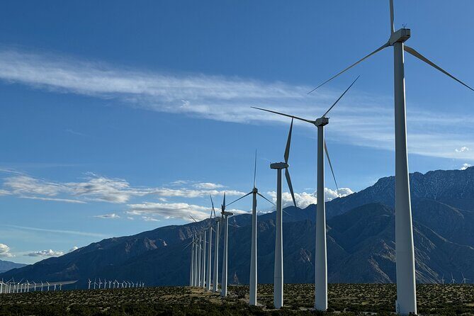 Palm Springs Windmill Guided Tour by Golf Cart - Final Thoughts
