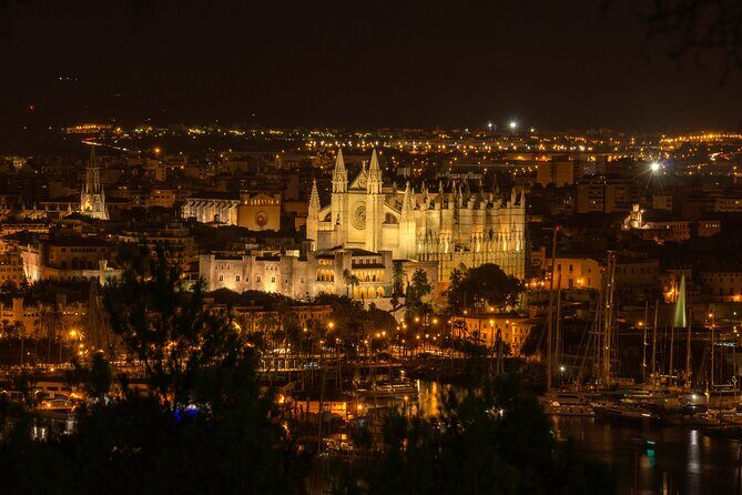 Palma at Night by Boat - Exploring the Experience in Detail