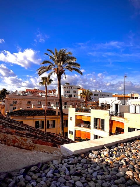 Palma authentically. City tour with snacks and wine - Why this tour stands out