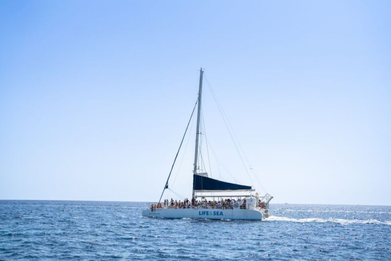 Palma: Catamaran Cruise with Swimming and Snorkelling - An In-Depth Look at the Palma Catamaran Cruise
