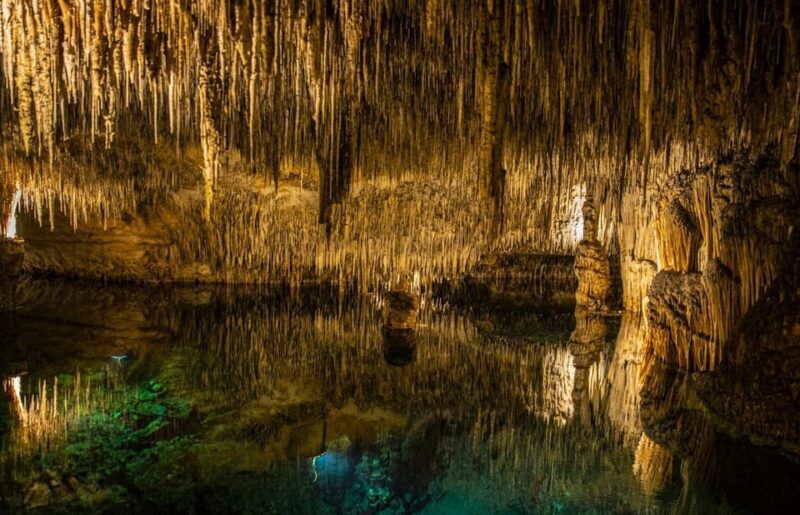 Palma: Caves of Drach Entrance, Music Concert, and Boat Trip - FAQ