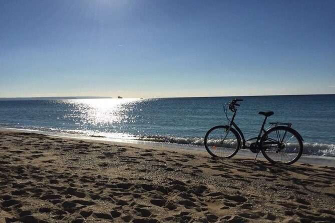 Palma de Mallorca 3-Hour Highlights and Tapas Tasting Bike Tour - Final Words