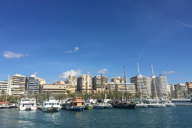 Palma de Mallorca Bay Boat Trip - Who Will Love This Tour?