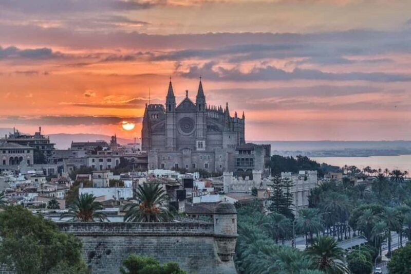 Palma de Mallorca : Best Street Food Tour With A Local Guide - Exploring Palma’s Culinary Heart: A Complete Guide