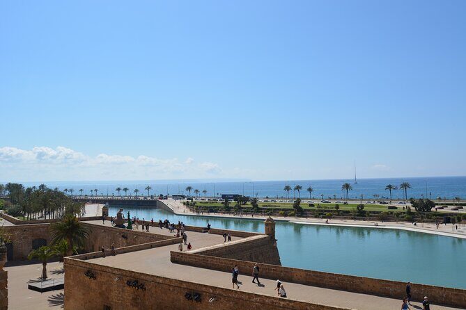 Palma de Mallorca Easy Bike Tour - Exploring Palma on Two Wheels: A Deep Dive