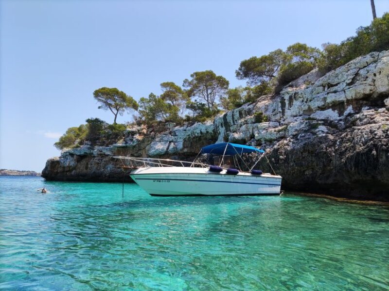 Palma de Mallorca: Full or Half-Day Boat Trip with Brunch - What’s Included & What to Consider
