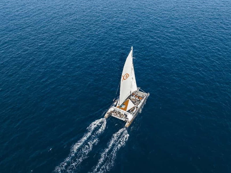 Palma de Mallorca: Half-Day Catamaran Tour with Buffet Meal - A Deep Dive into the Palma de Mallorca Catamaran Experience
