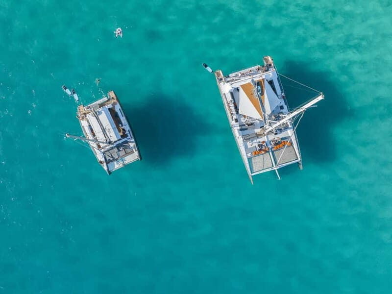 Palma de Mallorca: Half-Day Catamaran Tour with Buffet Meal - Who Will Love This Tour?