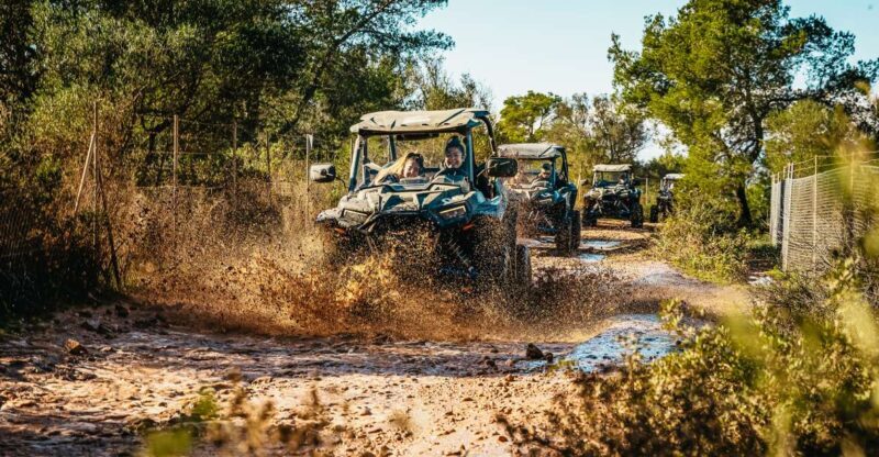 Palma de Mallorca: Off/On Road Buggy Tour with 2 or 4 Seater - Who Would Enjoy This Tour?