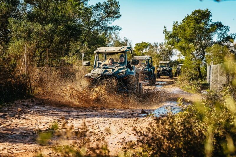 Palma de Mallorca: Off/On Road Buggy Tour with 2 or 4 Seater - FAQ
