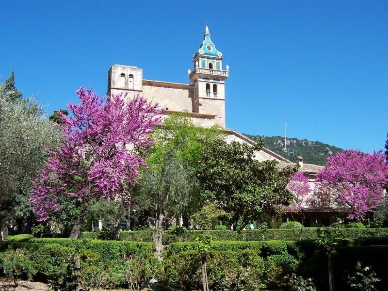 Palma de Mallorca: Palma and Valldemossa free time - The Sum Up