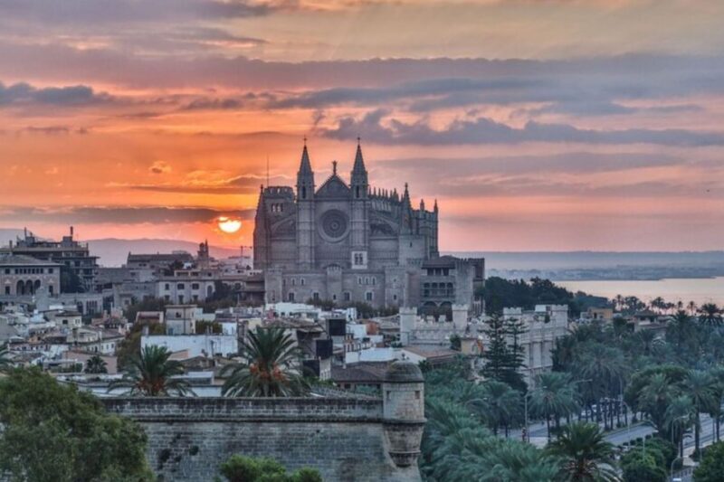 Palma de Mallorca: Private custom tour with a local guide - Exploring Palma de Mallorca: A Private Custom Tour with a Local Guide