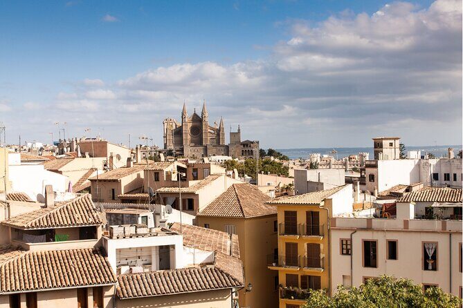 Palma de Mallorca : Private Custom Walking Tour with A Guide - A Personalized Introduction to Palma de Mallorca