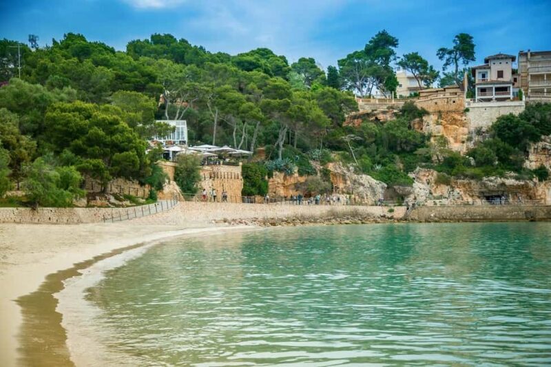 Palma de Mallorca: Private Drach Caves and East Coast Tour - FAQ