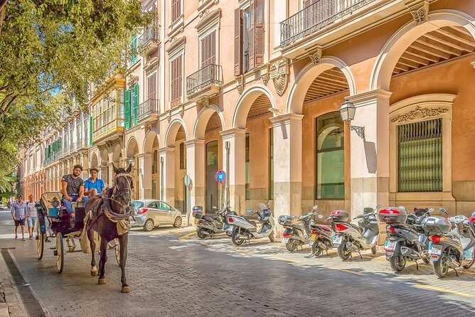 Palma de Mallorca Private Walking Tour with tour guide - A Deep Dive into Palma de Mallorca’s Highlights
