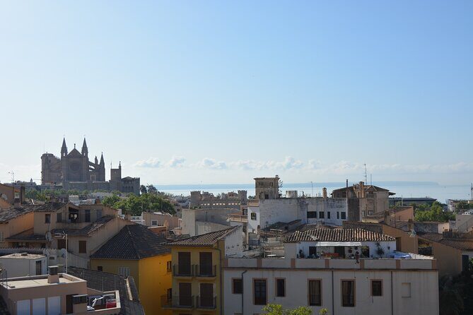 Palma de Mallorca Shore Excursion Bike Tour (Transfer Included) - What You Can Expect from the Tour