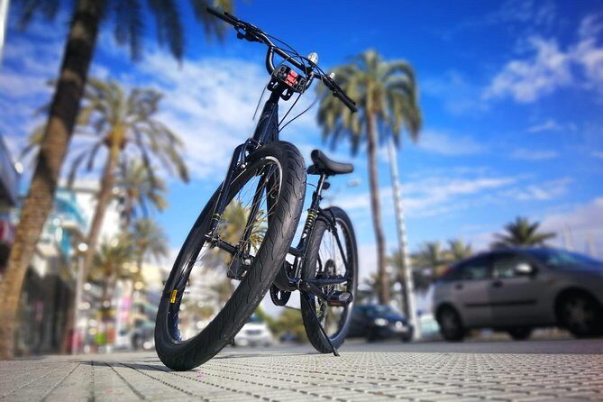 Palma de Mallorca Shore Excursion: Bike Tour with Cathedral and Parc de la Mar - Who Will Love This Tour?