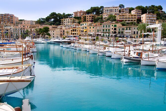 Palma de Mallorca Shore Excursion: Private Tour of Valldemossa, Soller and Serra de Tramuntana - An In-Depth Look at the Tour Experience