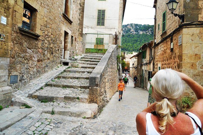 Palma de Mallorca Shore Excursion: Private Tour of Valldemossa, Soller and Serra de Tramuntana - Frequently Asked Questions