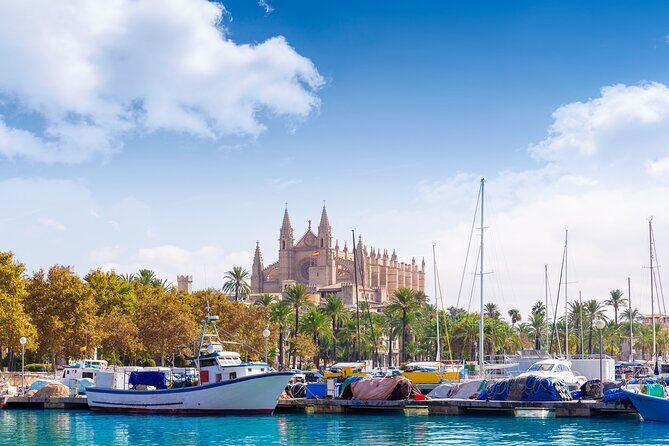 Palma de Mallorca Sightseeing Day Tour - Key Points