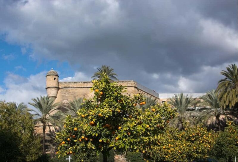Palma de Mallorca: Small-Group Walking Tour - Who Will Love This Tour