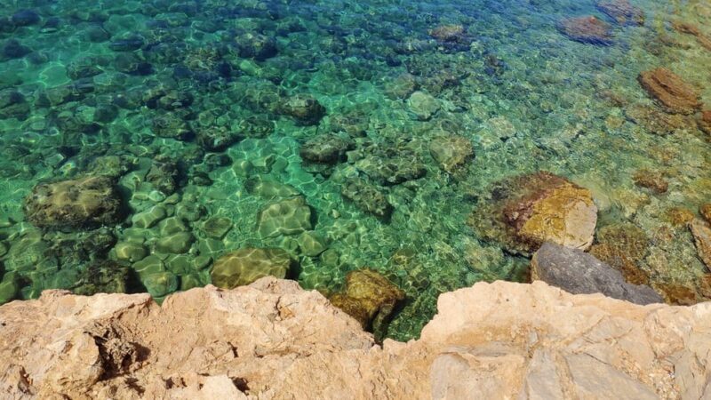 Palma de Mallorca: SmallGroup Tour by Locals in Hidden Coves - Final Thoughts