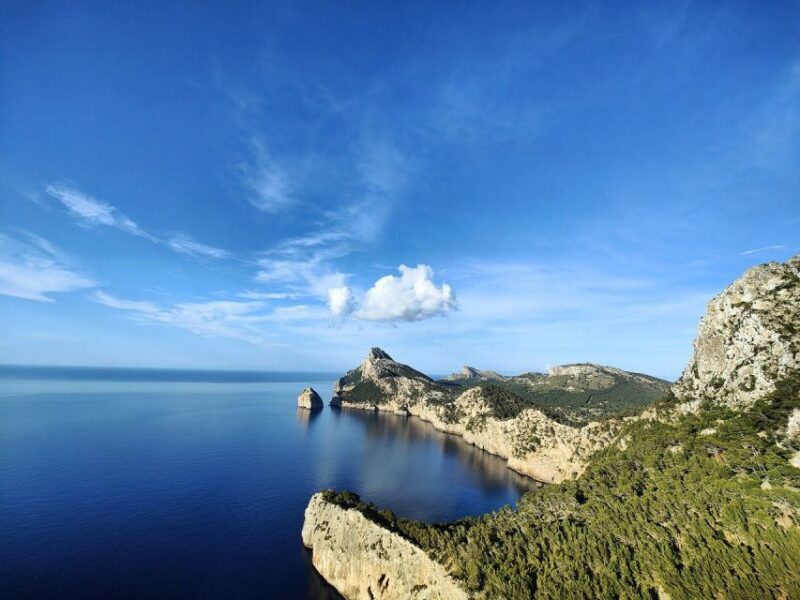 Palma de Mallorca: Son Juliana Wine Experience and Tasting - Practical Tips for Visitors