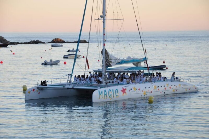 Palma de Mallorca: Sunset Sailing Catamaran Trip with Drink - Key Points