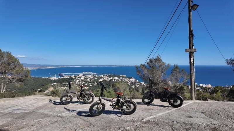 Palma: Electric Mountain Adventure: Ride Higher, Go Farther! - The Experience in Detail