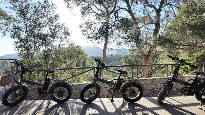 Palma: Electric Mountain Adventure: Ride Higher, Go Farther! - Practical Tips for Participants