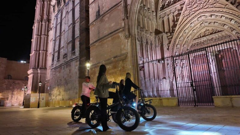Palma: Exclusive City Highlights E-Bike Tour - Who Is This Tour Best For?
