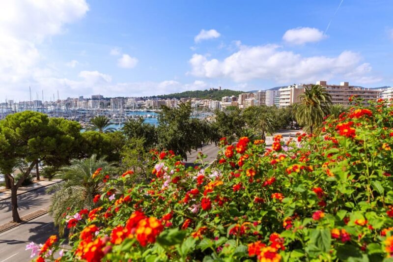 Palma: Express Walk with a Local in 60 minutes - Final Thoughts