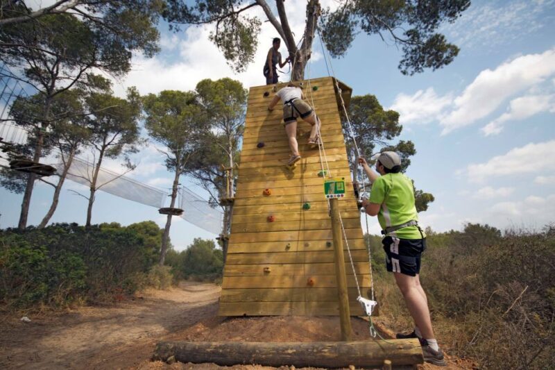 Palma: Family or Sports Course Adventure at Forestal Park - What to Expect During Your Visit