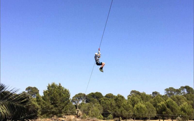 Palma: Family or Sports Course Adventure at Forestal Park - Who Will Love This Experience?