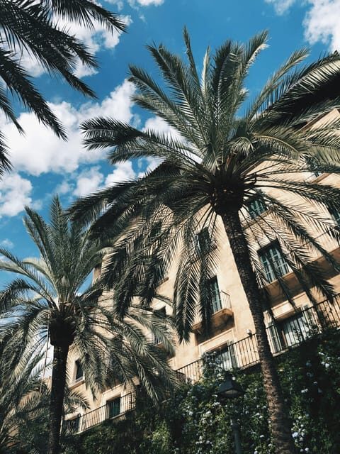 Palma: "History & Beauty" Eco-Friendly E-Scooter Tour - Why Choose the Palma E-Scooter Tour?