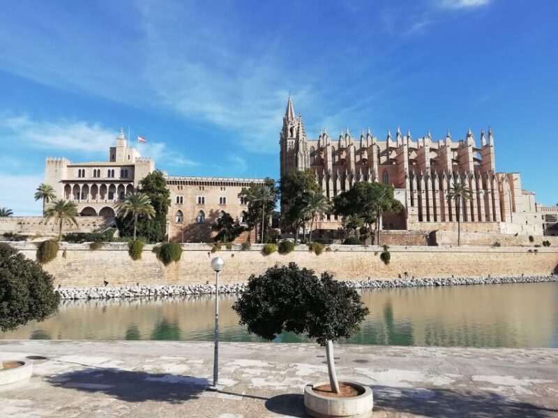 Palma old town for the first time - A Deep Dive into Your Palma Old Town Tour