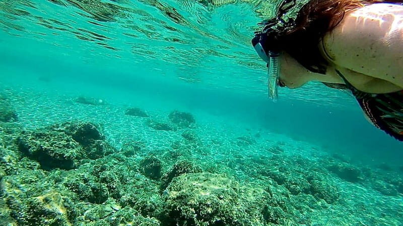 Palma: Private Boat Tour in Mallorca with Snorkel and Paddle - Practical Tips for Your Trip