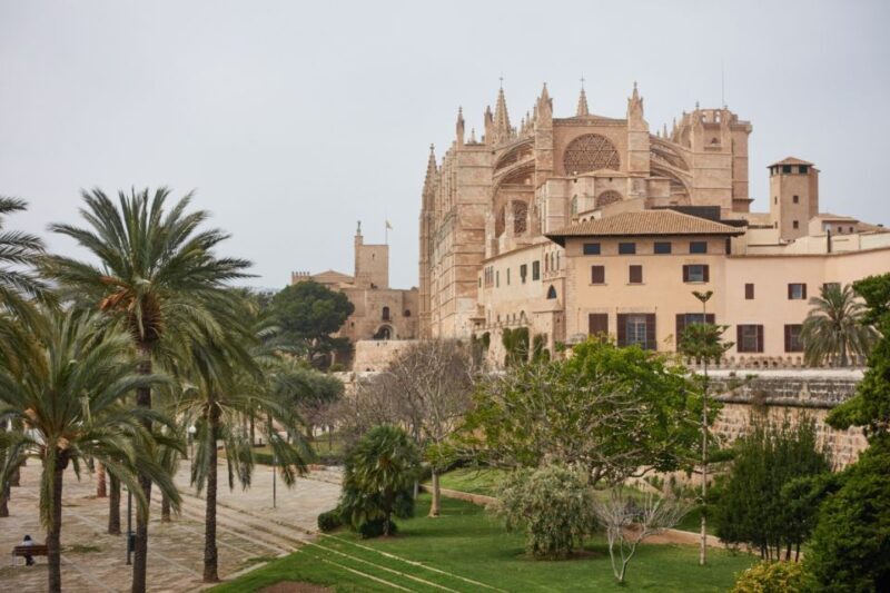 Palma: Walking Tour with Mediterranean Delicacies - Tasting Mediterranean Flavors at the Market