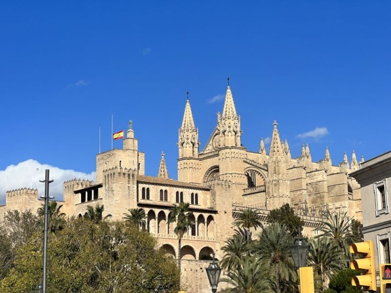 Palmas sightseeing highlights in a private and exclusive way - Authentic Feedback from Travelers