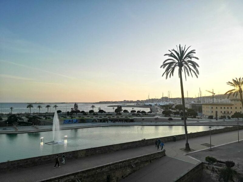 Palmas sightseeing highlights in a private and exclusive way - Who Will Love This Tour?