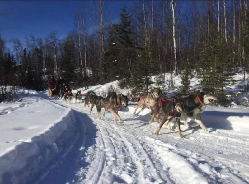 Palmer: "Dogs and Glaciers" Sledding and Helicopter Tour - Palmer: "Dogs and Glaciers" Sledding and Helicopter Tour — A Detailed Look