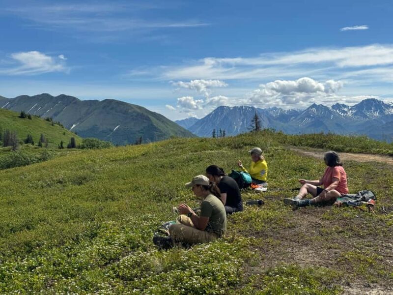Palmer Hidden Waterfalls Guided Backcountry Hike - Key Points