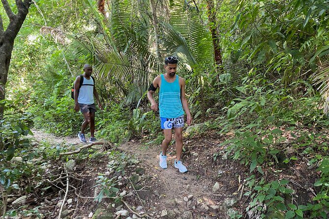 Palo María Waterfalls Hike Half-Day Tour - Frequently Asked Questions